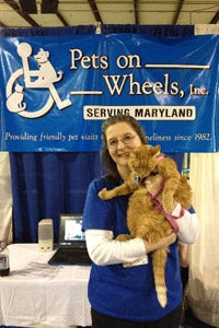 Lucky Coin the therapy cat with Pets on Wheels