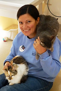 Kylee volunteering at Cat World