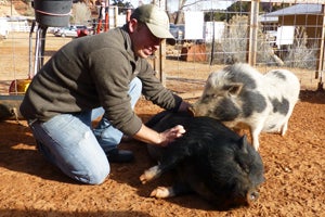 Vince giving a belly rub to Ariel