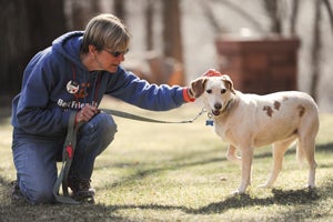 Dee Willner petting Zena the shy dog at Best Friends Animal Sanctuary