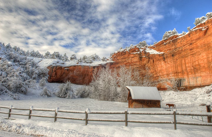 Disney World may be the happiest place on earth, but the Angel Canyon Disney barn sure has to be one of the most beautiful places on earth.