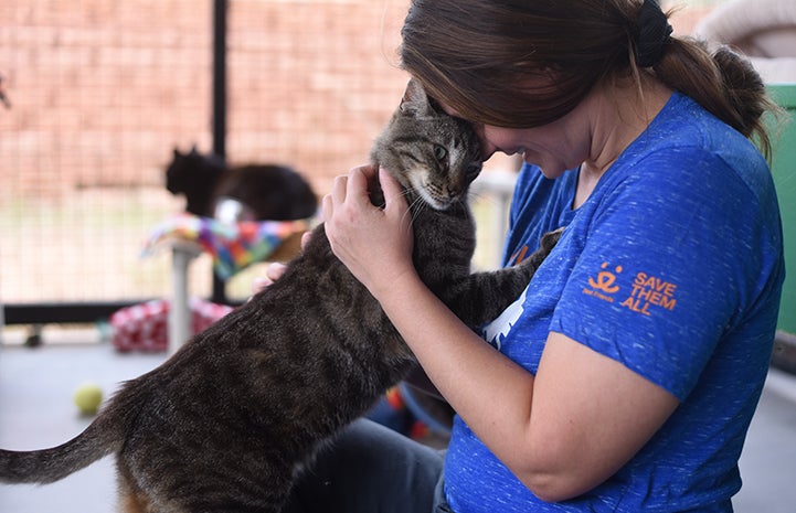 Major the cat started to reveal his true self to caregiver Kristen Kolar