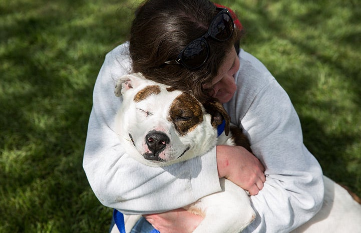 Sandy adoption