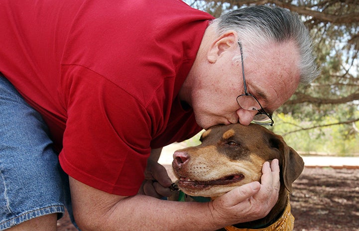 Dog getting adopted