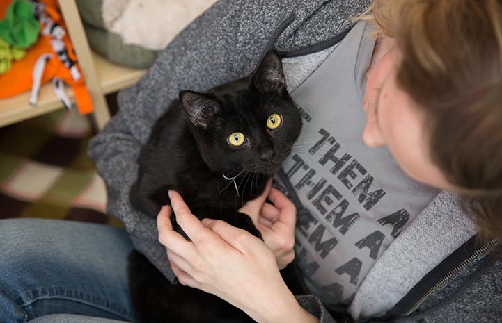 Woman holding a black cat