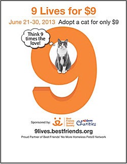 9 Lives for $9