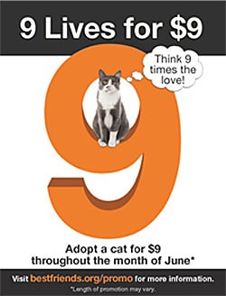 9 Lives for $9