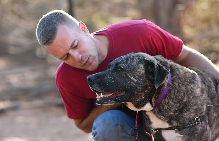 Champ the Akita-mastiff mix with Craig