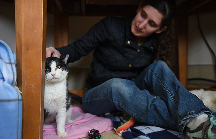 Esther the bossy cat has everyone really well trained