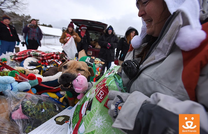 Scratch was lifted gently into the trailer to pick out a special toy.