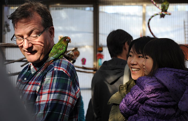 Strawberry quickly realized that landing on people's shoulders got lots of attention