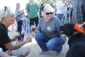 Bayley the Lab mix is a visitor and volunteer favorite