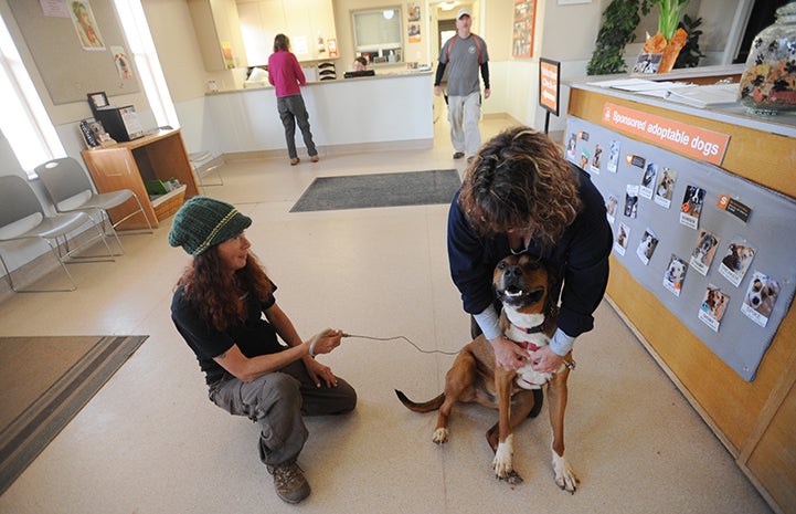 Holy Moly makes new friends at Dogtown Headquarters