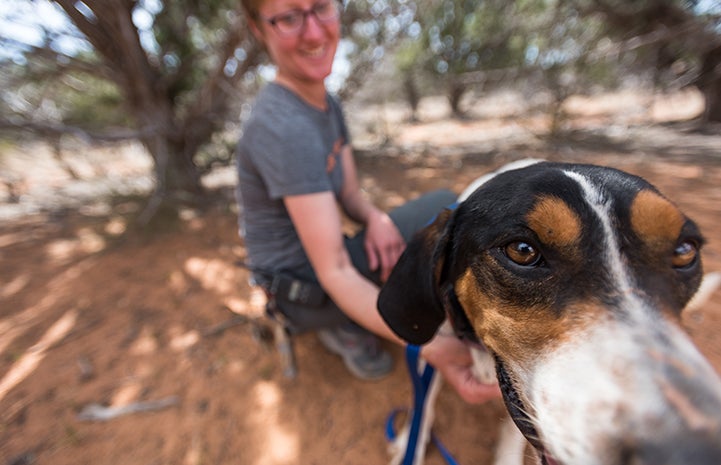 Whistler the dog started bouncing less and less around his caregivers