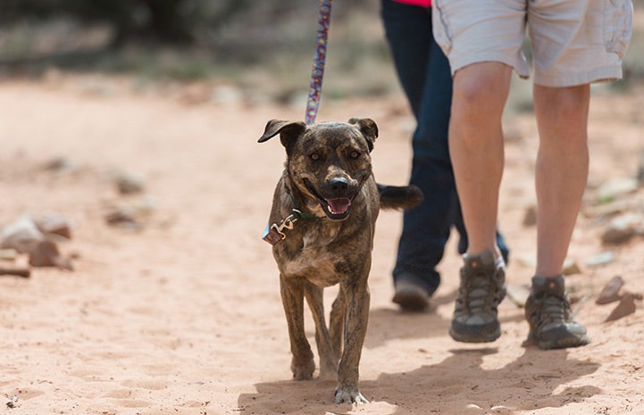 Now that Rockford’s injuries are almost completely healed, he’s full of excitement and can hardly wait to get moving more every day