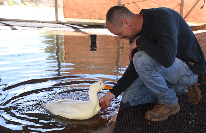 Darrell Bush with Woodstock the duck