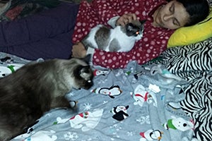 Birdie the geriatric cat with her new family