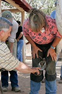 Farrier examining a horse's foot