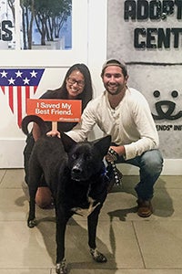 Batman the Australian and kelpie mix at NKLA Pet Adoption Center was adopted