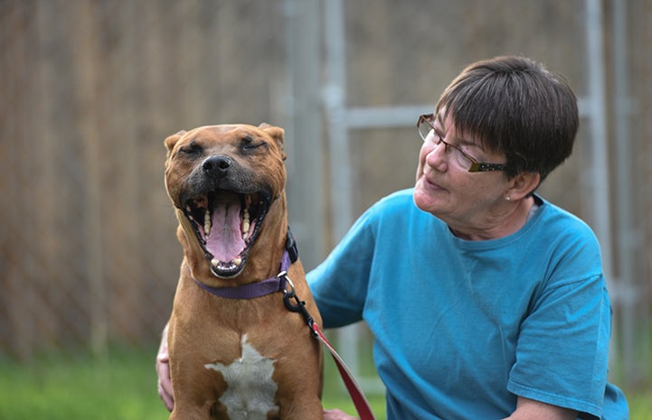 Hoagie the dog has taken over Ann's life in a good way