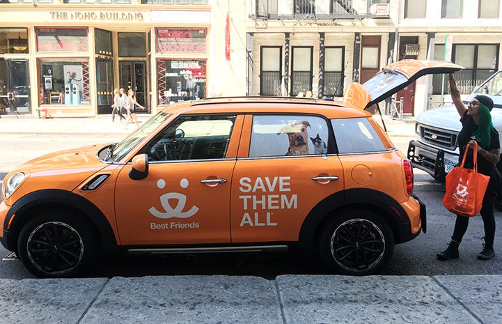 Best Friends MINI car in New York City