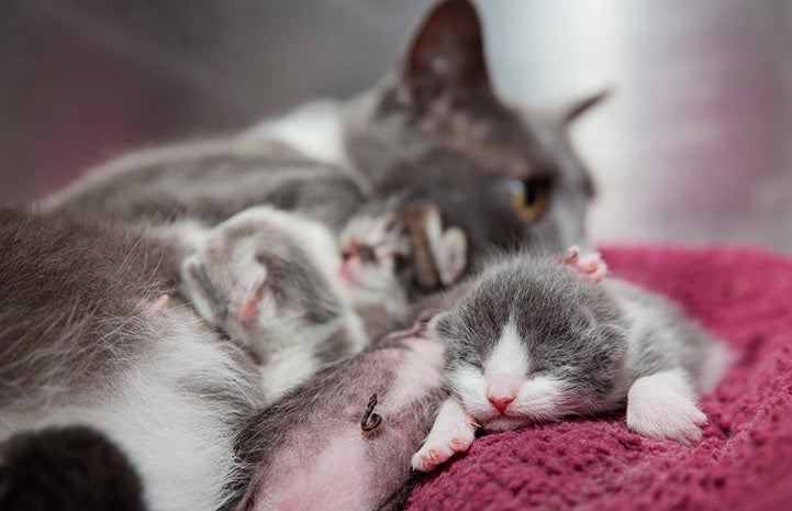 Mom has a sixth sense to know when you need a nap.