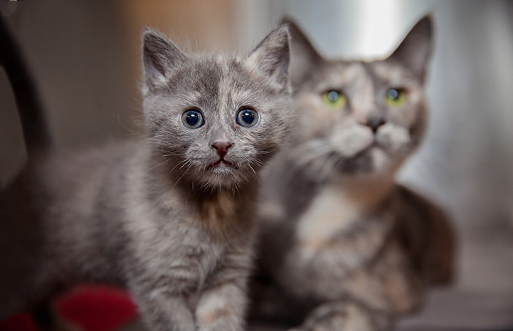 Mom’s got your back if you get scared.