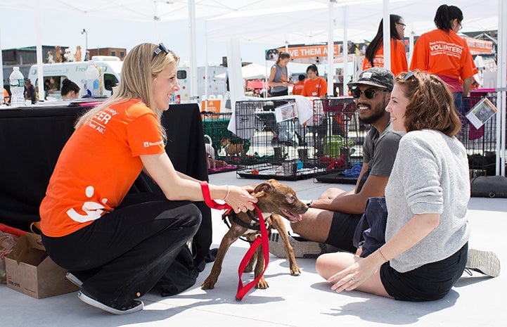 New York volunteer Kirstin Burdett helping at an adoption event