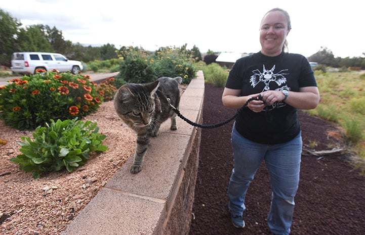 Ooms the cat on a walk