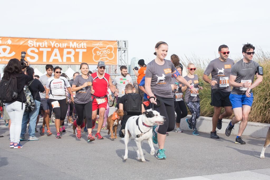 Strut Your Mutt 5K