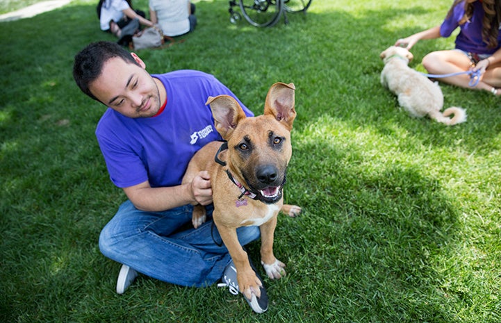 Bombshell the dog at the NKUT Super Adoption