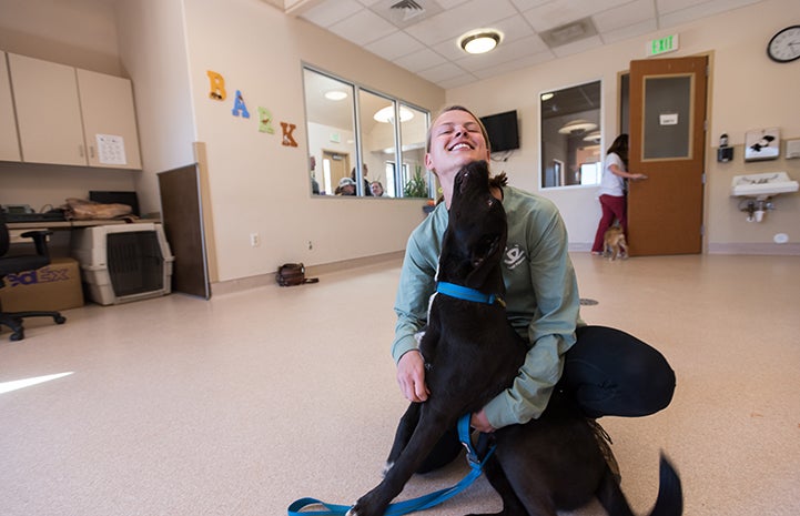 Brittney with black dog licking her face