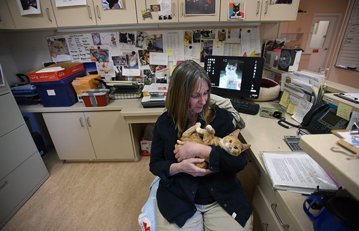 Wally the kitten got the medical help he needed at Best Friends