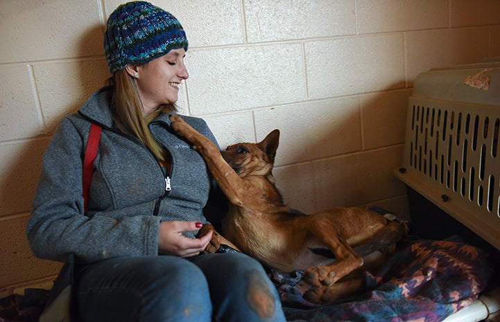 Megan helping to socialize Jane the heeler mix puppy