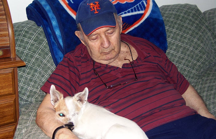 Senior dog sleeping with a man on the couch