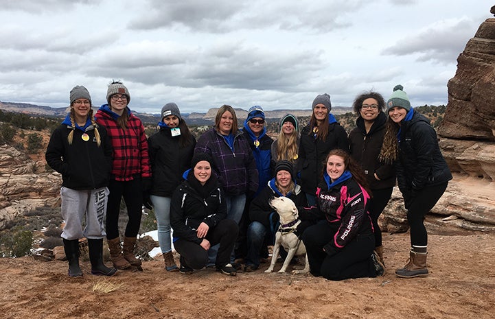 The students from Madison Area Technical College loved the experience of volunteering at the Sanctuary