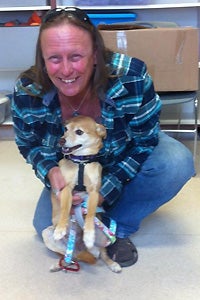 ChiChi, the senior shiba inu mix, now has a loving family