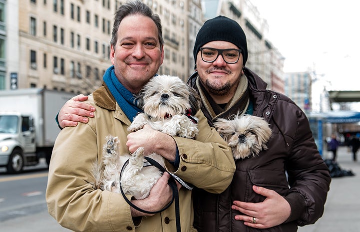 There’s a new sense of calmness in the home with Sunny and Moon, two senior shih tzus