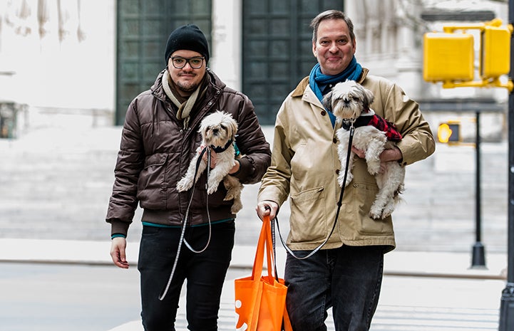 David Johnston and Danny Costa holding Sunny and Moon, two senior shih tzus