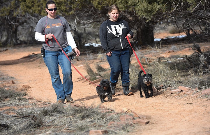 Once Harriet started learning to trust, she allowed herself to be leashed up for short walks