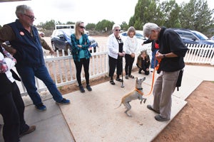 Now after overcoming his anxiety, Ando the terrier mix greets Sanctuary tours