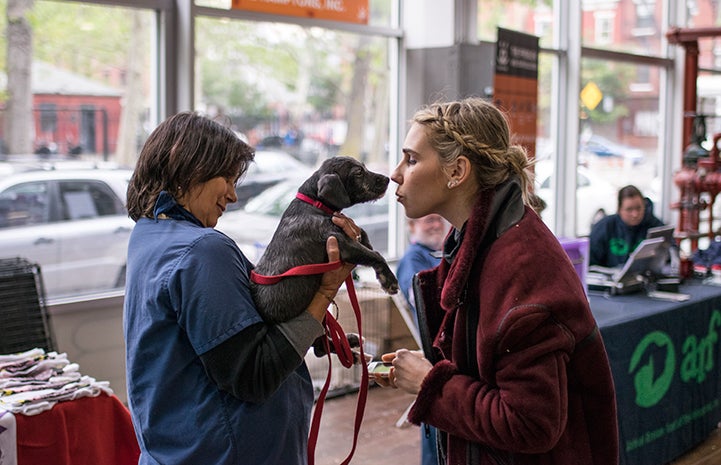 Connecting with a dog at the New York super adoption