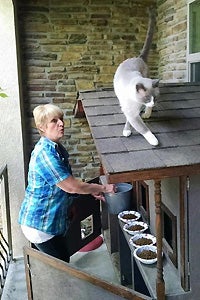 Bright Eyes the Siamese mix and Jen Sharo at the custom-built cat shelter