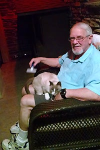 Bright Eyes the Siamese mix being brushed by John Sharo