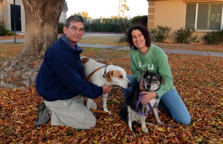 Long Tail the three-legged dog and Musetta the dog are settling in to their wonderful new lives