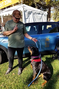 Millie the dog and Trish the military veteran get training together