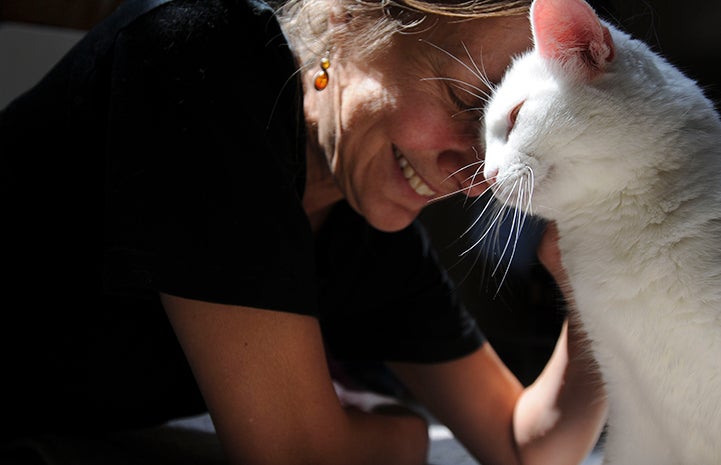 Best Friends Animal Sanctuary is southern Utah pet lovers’ paradise