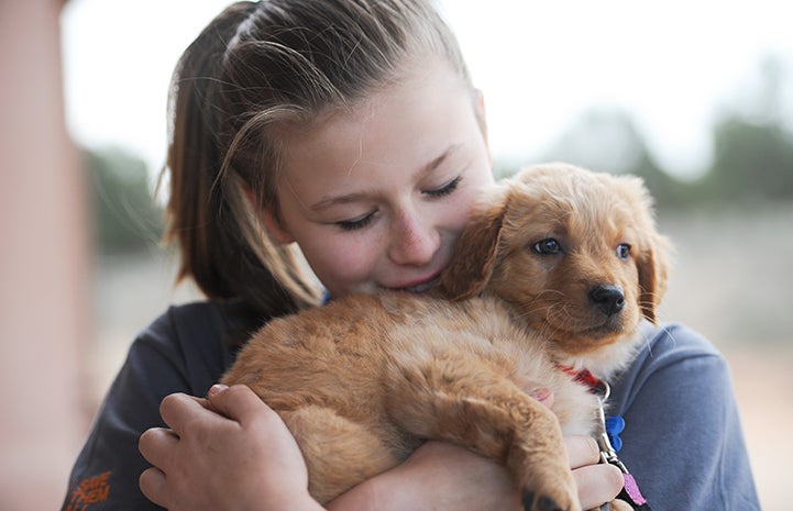 Volunteer hugging Toothless the puppy