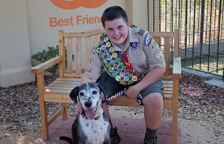 Which is the badge for animal awesomeness?