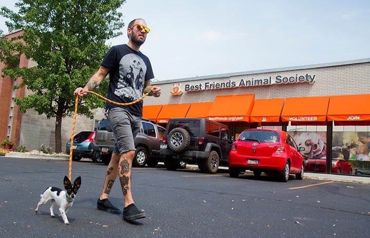 Volunteer walking a small dog at the Best Friends–Utah pet adoption center